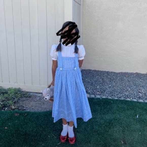 Dorothy Wizard of Oz Costume - Picture 5 of 5